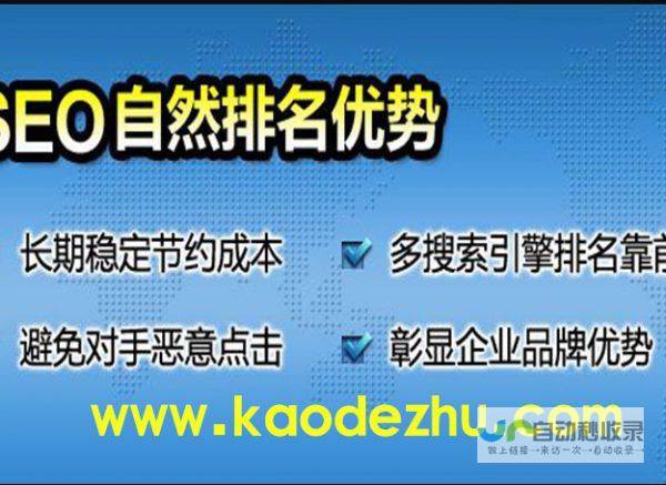 提升您网站的可见度和流量