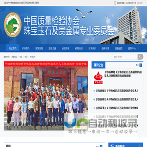 网站截图
